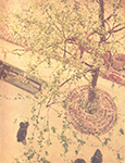 Gustave Caillebotte Le Boulevard vu d'en haut oil painting reproduction