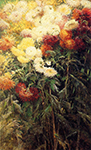 Gustave Caillebotte Chrysanthemums, Garden at Petit Gennevilliers - 1893  oil painting reproduction