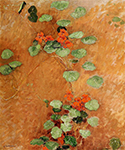 Gustave Caillebotte Nasturtiums - 1892  oil painting reproduction