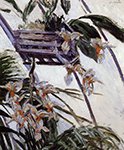 Gustave Caillebotte Orchids - 1893  oil painting reproduction