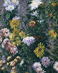 Gustave Caillebotte White and Yellow Chrysanthemums, Garden at Petit Gennevilliers - 1893  oil painting reproduction