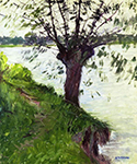 Gustave Caillebotte Willow on the Banks of the Seine  oil painting reproduction