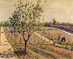 Gustave Caillebotte Kitchen Garden, Petit Gennevilliers - 1882  oil painting reproduction