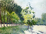 Gustave Caillebotte Lane Bordered by Trees  oil painting reproduction