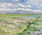 Gustave Caillebotte The Plain of Gennevilliers, Etude in Yellow and Green - 1884  oil painting reproduction