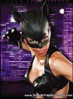 Catwoman painting for sale