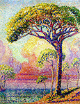 Henri-Edmond Cross A Pine Tree, 1905 oil painting reproduction