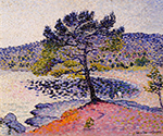 Henri-Edmond Cross The Beach, Evening, 1902 oil painting reproduction