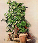Paul Cezanne Pots of Geraniums, 1888-1912 oil painting reproduction