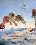 Salvador Dali One Second before Awakening from a Dream oil painting reproduction