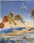 Salvador Dali Dream Caused by the Flight of a Bee????? oil painting reproduction