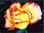 Flowers   painting for sale FLO0071