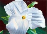 Flowers   painting for sale FLO0073