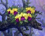 Flowers   painting for sale FLO0103