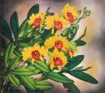 Flowers   painting for sale FLO0107