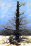 Caspar David Friedrich The Oaktree in the Snow (1829) oil painting reproduction