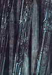 H.R. Giger New York City XV  oil painting reproduction