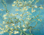 Vincent Van Gogh Branches of an Almond Tree in Blossom oil painting reproduction