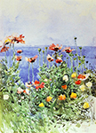 Frederick Childe Hassam Poppies, Isles of Shoals 02, 1891 oil painting reproduction