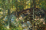 Frederick Childe Hassam Laurel on the Ledges, 1906 oil painting reproduction