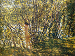 Frederick Childe Hassam Nude in Sunlilt Wood, 1905 oil painting reproduction