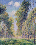 Gustave Loiseau Alley of Poplars, 1800 oil painting reproduction