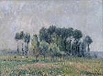 Gustave Loiseau Poplars in Springtime, 1905 oil painting reproduction