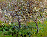 Claude Monet Apple Trees in Bloom at Giverny, 1900-01 oil painting reproduction