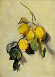 Claude Monet Branch of Lemons,1883 oil painting reproduction