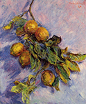 Claude Monet Branch of Lemons, 1884 oil painting reproduction