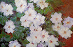 Claude Monet Clematis, 1897 oil painting reproduction