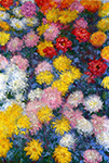 Claude Monet Chrysanthemums, 1897 oil painting reproduction