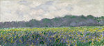 Claude Monet Field of Yellow Irises at Giverny, 1887 oil painting reproduction