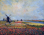 Claude Monet Fields of Flowers and Windmills near Leiden, 1886 oil painting reproduction