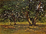 Claude Monet Fontainebleau Forest, 1865 oil painting reproduction