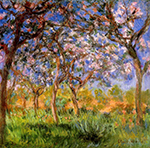 Claude Monet Giverny in Springtime, 1899-1800 oil painting reproduction