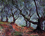 Claude Monet Grove of Olive Trees in Bordighera, 1884 oil painting reproduction