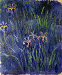 Claude Monet Irises 2, 1914-17 oil painting reproduction
