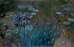 Claude Monet Irises and Water-Lilies, 1914-17 oil painting reproduction