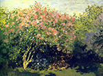 Claude Monet Lilacs in the Sun, 1872 oil painting reproduction