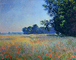 Claude Monet Oat and Poppy Field, Giverny, 1890 oil painting reproduction