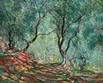 Claude Monet Olive Tree Wood in the Moreno Garden, 1884 oil painting reproduction