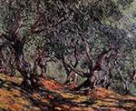 Claude Monet Olive Trees in Bordigher, 1884 oil painting reproduction