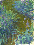 Claude Monet Path through the Irises 02, 1914-17 oil painting reproduction