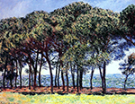 Claude Monet Pine Trees, Cap d'Antibes, 1888 oil painting reproduction