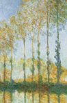 Claude Monet Poplars, White and Yellow Effect oil painting reproduction