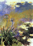 Claude Monet The Agapanthus oil painting reproduction