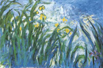 Claude Monet The Irises oil painting reproduction