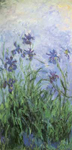 Claude Monet Irises oil painting reproduction