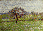 Camille Pissarro An Apple Tree at Eragny, 1887 oil painting reproduction